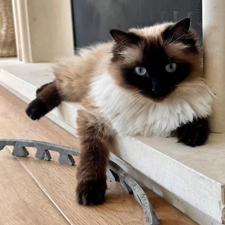 Beautiful In