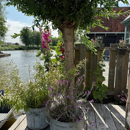 Beautiful In Villa De Rijp