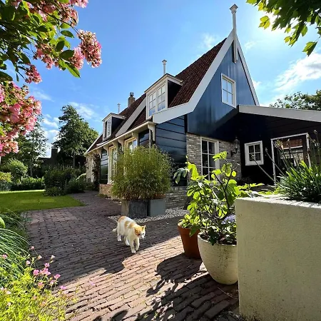 Villa Beautiful In *